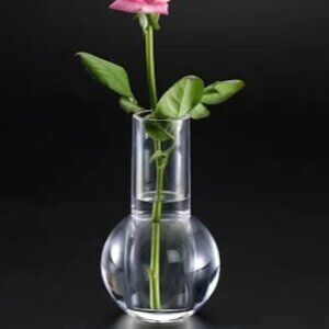 Acrylic bud vase - new